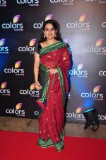 Shaina NC at Colors red carpet on 12th March 2016
